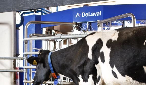 delaval soluciones